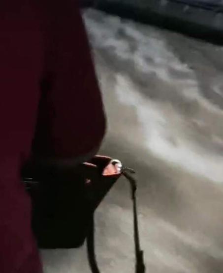 亲历河南暴雨死里逃生,19位亲历者口述暴雨中惊心瞬间