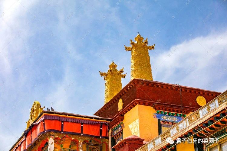 西藏之行布达拉宫,西藏之旅第一站布达拉宫