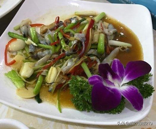 广东湛江宜居吗,广东湛江城市怎么样