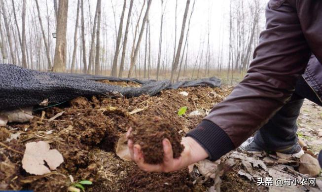 乡村创业能做些什么项目,适合女人在农村干的18个创业项目