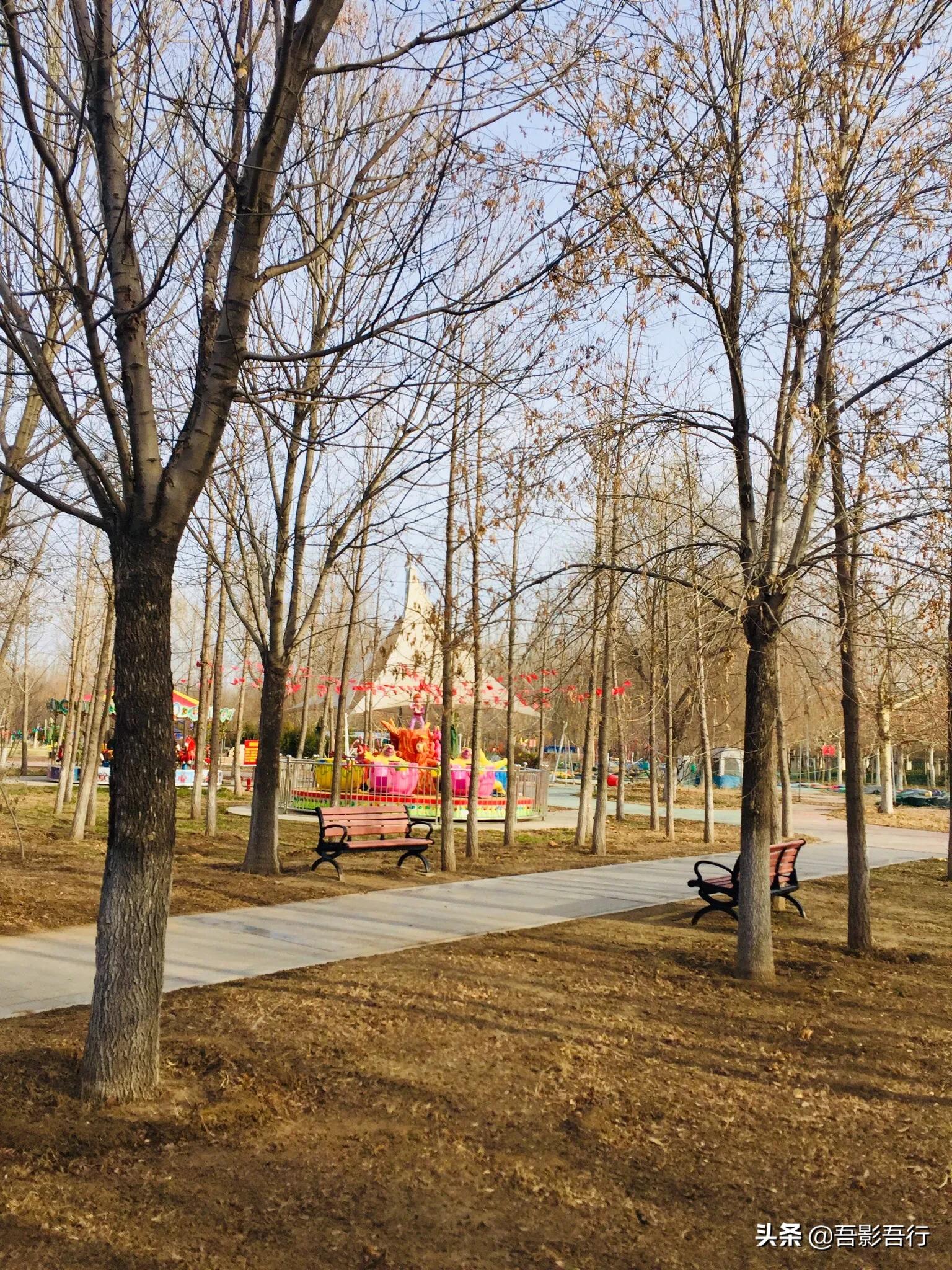 武清津北森林公园有哪些风景,天津武清森林公园开放时间表