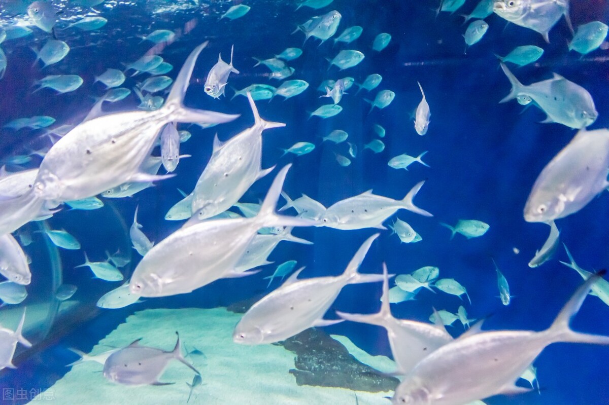 上海一日游攻略必去景点,上海攻略自由行最佳路线