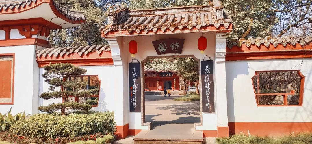 李子柒家乡成旅游景点,李子柒乡愁