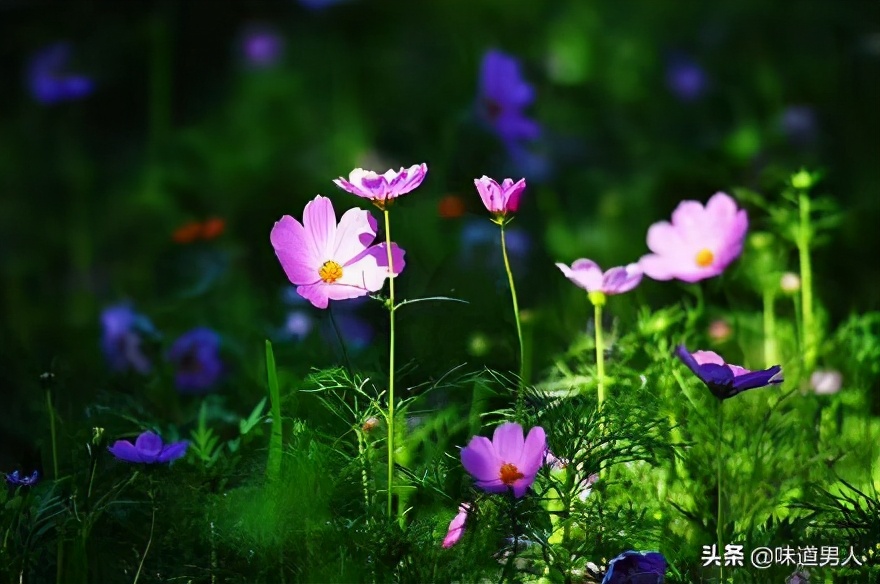 西游记新解读人情世故,西游记解说七情六欲