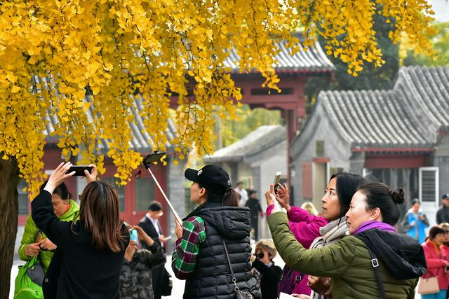 国家地理100个最美景观摄影点,全国银杏观赏地图