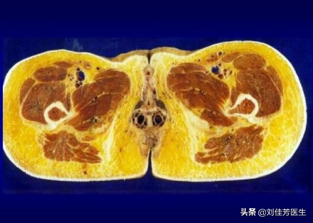 盆腔炎导致不孕的征兆,盆腔积液不孕有什么办法