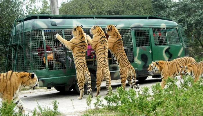 泉盛对讲机质量,泉盛大品牌对讲机