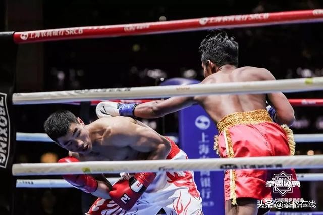 wba中国拳王金腰带,中国区首条wbc金腰带