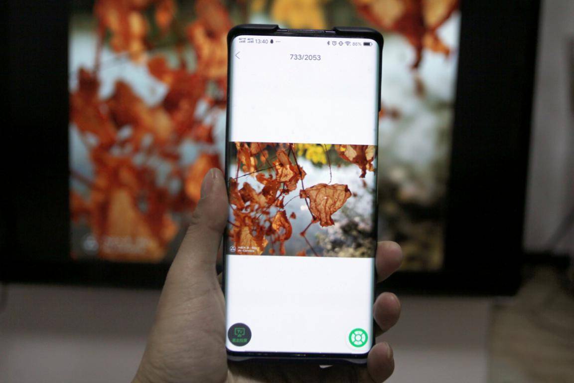 爱奇艺年货,爱奇艺春节年货节活动