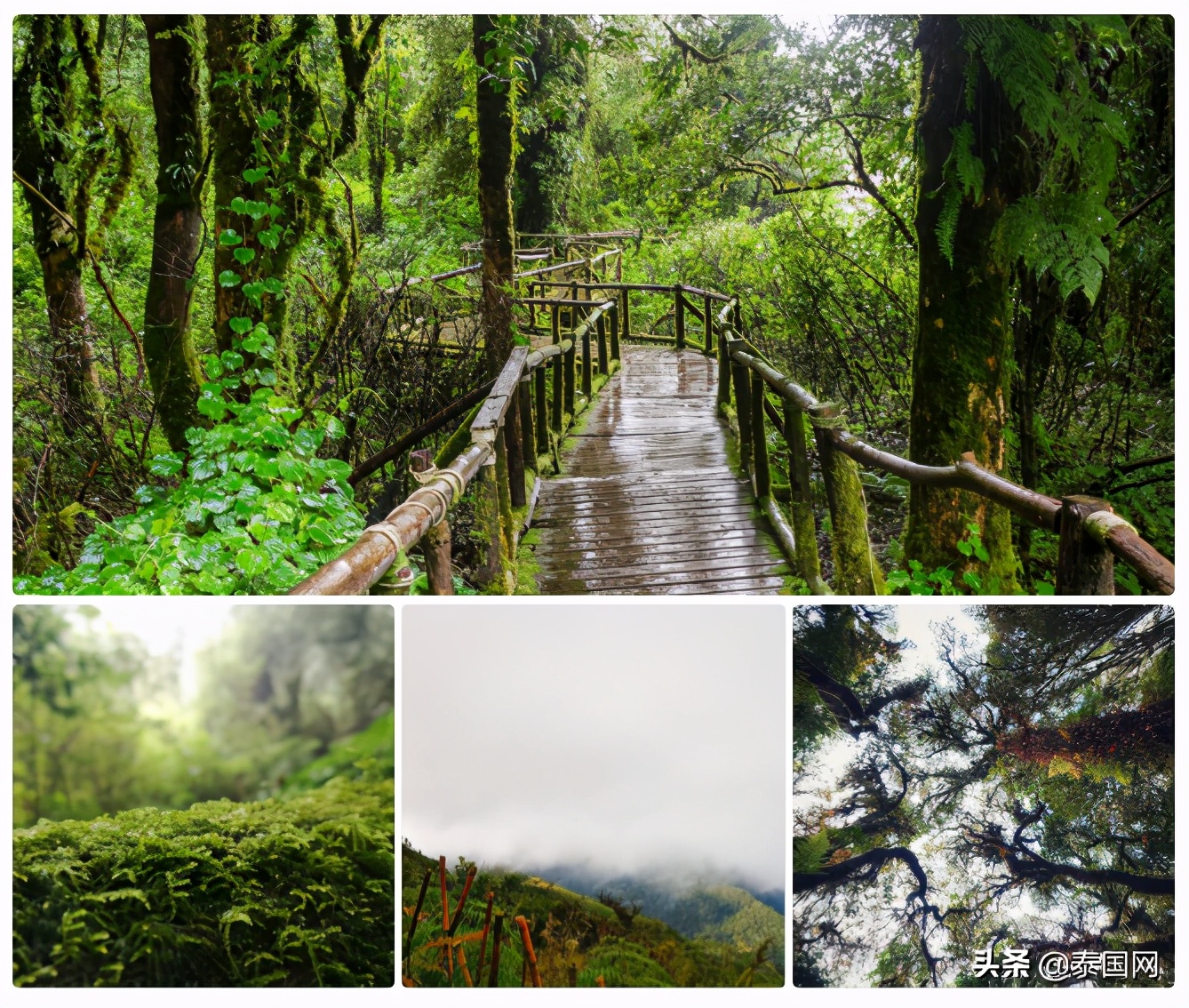 疫期旅游攻略,疫后旅游线路推荐