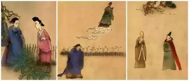 武夷岩茶大红袍讲解词,武夷岩茶大红袍基础知识