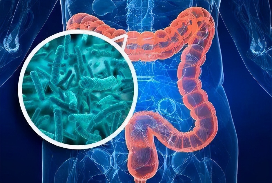 肠的秘密解读大全,肠瘘你了解多少