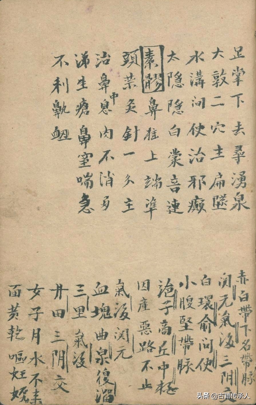 中医针刺放血疗法书,中医古籍阴阳针