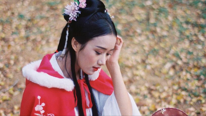 汉王朝奠定了坚实的基础,为大秦奠定万世之基