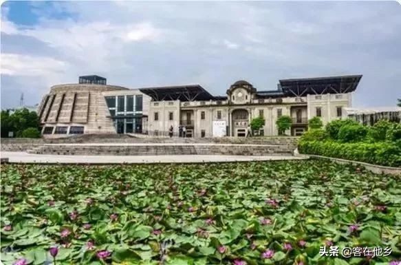 本港台播放过的动画,本港台曾经推出的纪录片