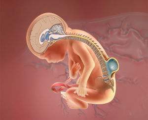 先天泌尿系统畸形能治好吗,关注缺陷多动障碍治愈