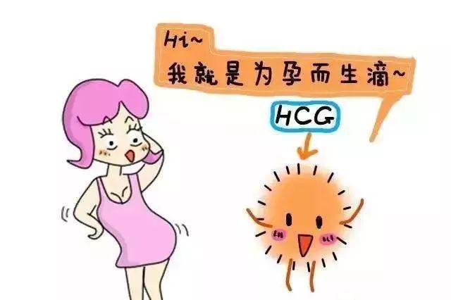 孕酮hcg降落还有希望吗,孕酮hcg都降低了是怎么回事