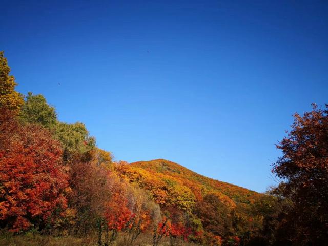 吉林省磐石市情况,吉林市磐石县在什么位置