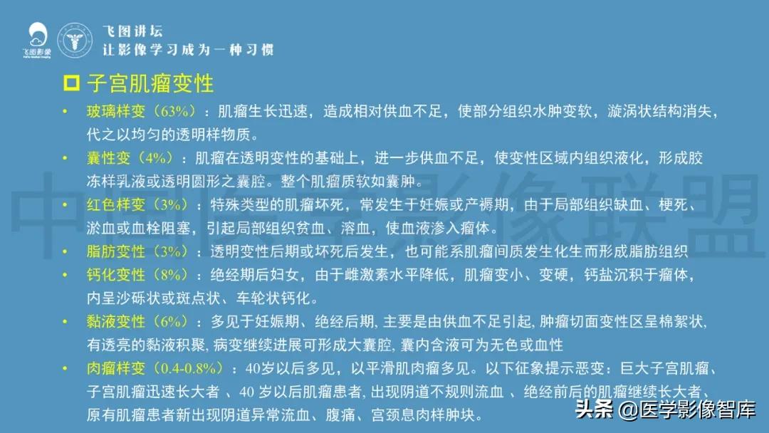子宫解剖结构输卵管和卵巢位置,子宫附件ct影像学正常解剖表现
