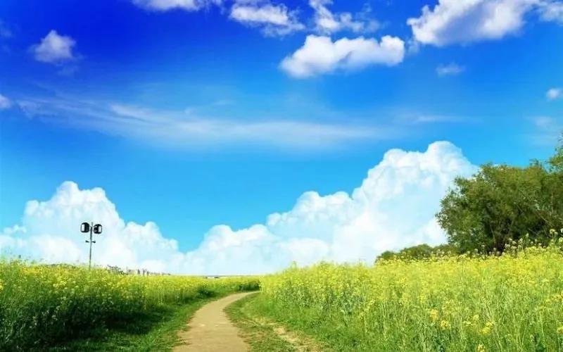 大青沟漫话/张志军