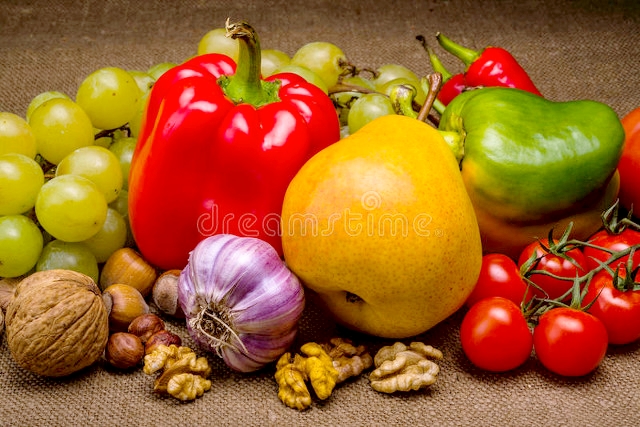 久别的庭院，古槐仍在原处，一树的阳光，正好