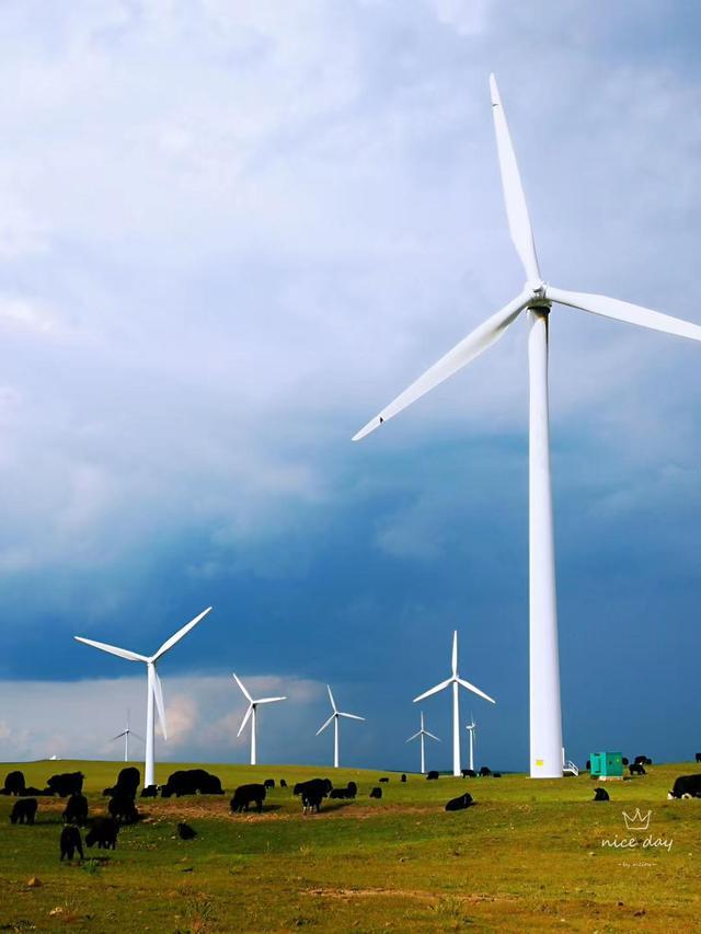 红松洼和乌兰布统哪个好,乌兰布统坝上草原旅游攻略