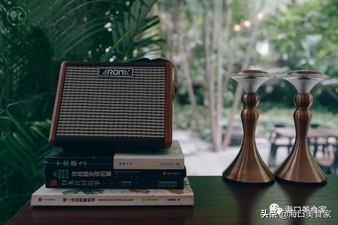 海口风很大,海口最近风大吗