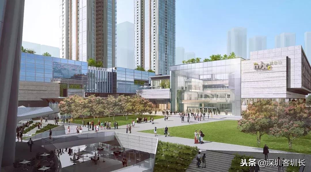 深圳湾是深圳湾口岸吗,什么是深圳