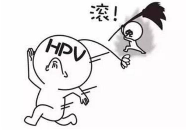 尖锐湿疣为什么总是复发