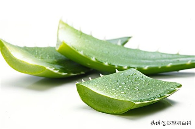 易过敏用什么护肤品好,如何防止过敏的五种方法