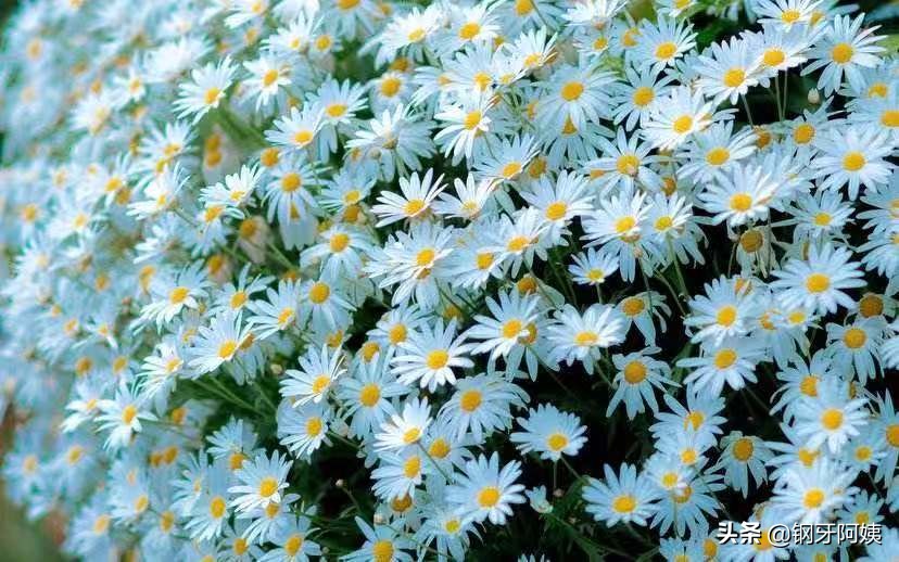 当人穷的时候会明白什么道理,穷到别人看不起时谨记这三句话