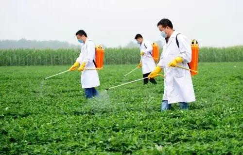 微量元素的作用和使用方法,中微量元素的正确使用方法