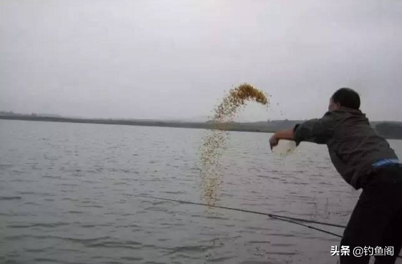 钓鱼鱼不吃鱼料怎么办,钓鱼用什么饵料鱼才肯吃钩