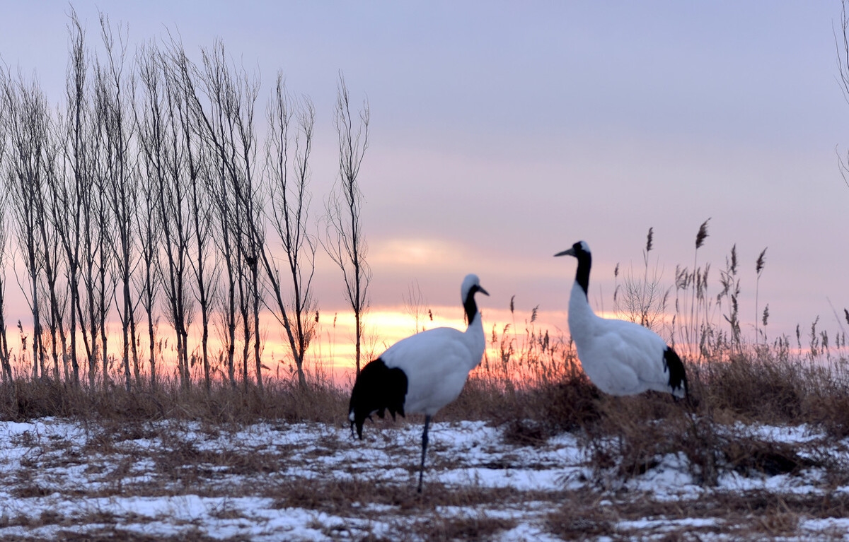 国家地理评选一生必去的50个城市,国家地理评选中国必去的50个地方
