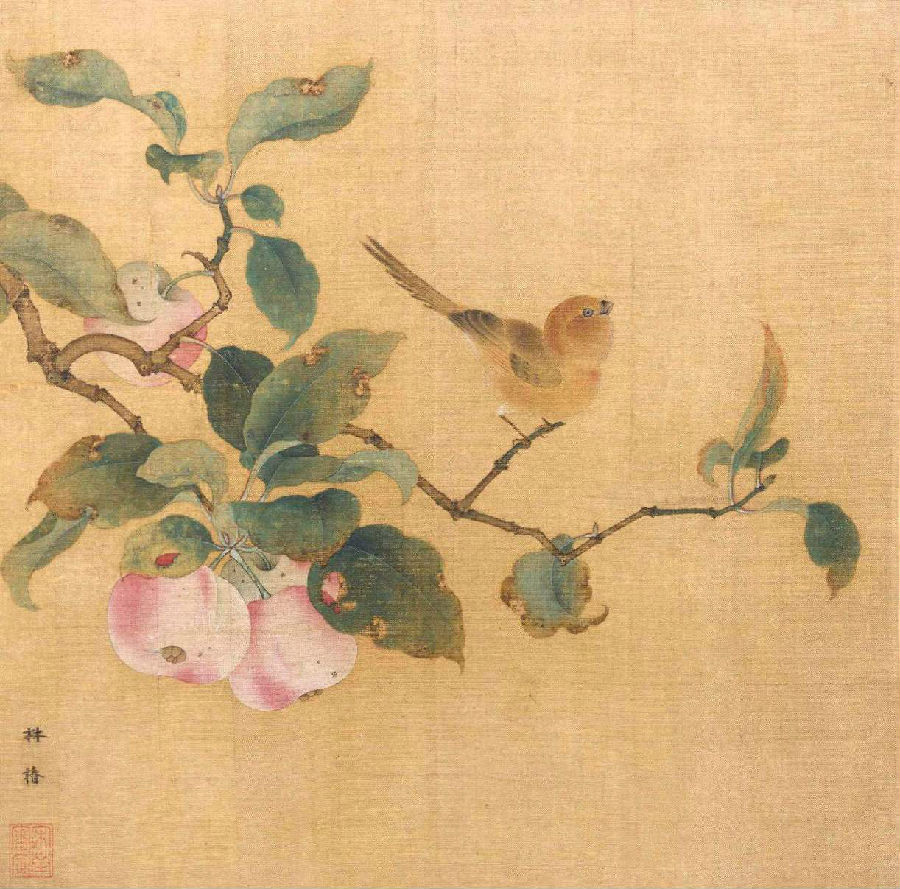 苹果在古代,苹果在古代的名字原来这么美