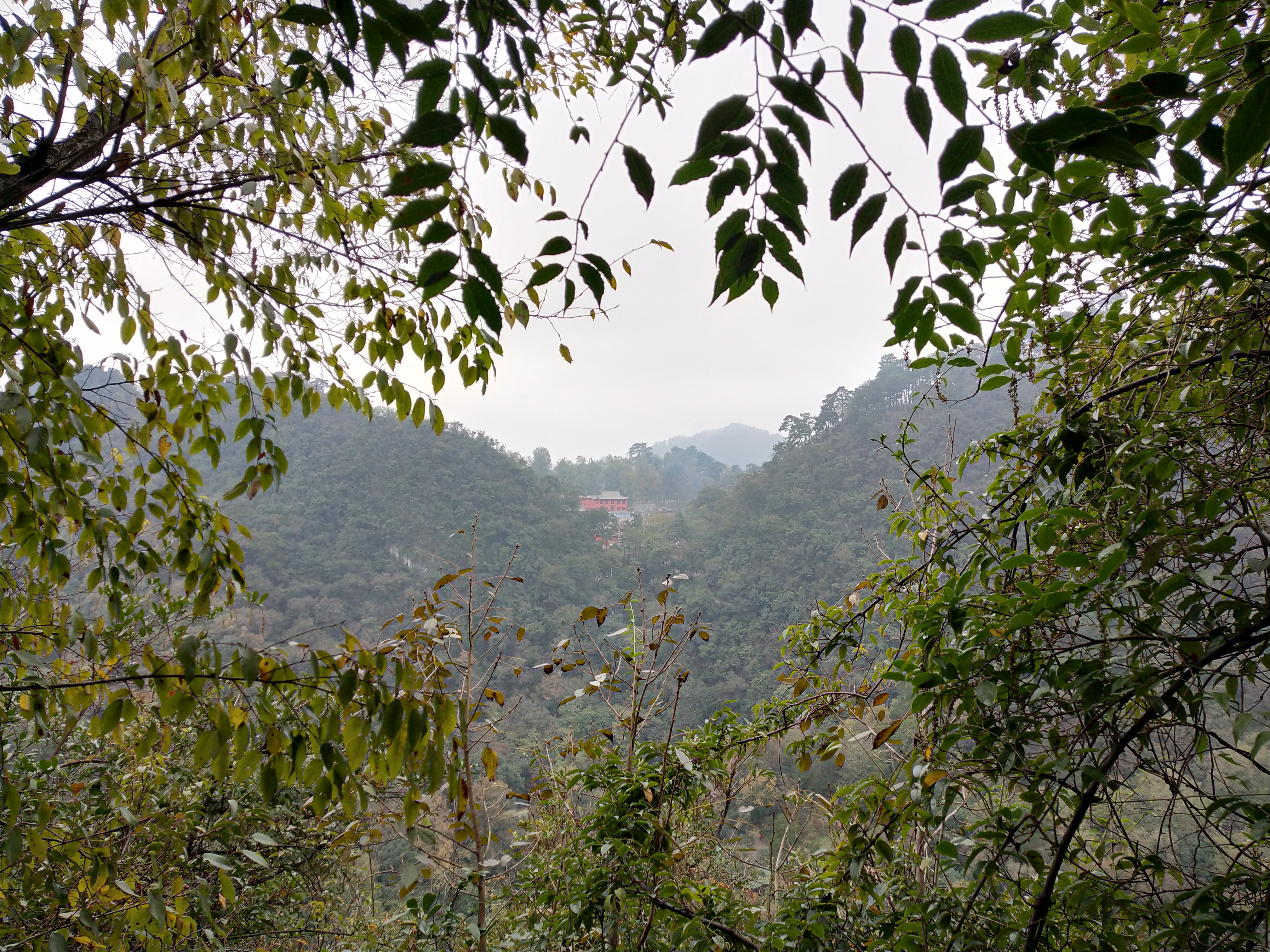 微游贵阳：深度玩透黔灵公园之自然风景