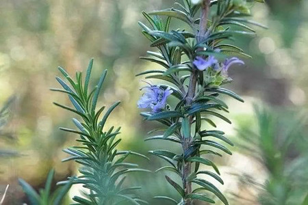 辟谷开启新生活，人生从此有方向