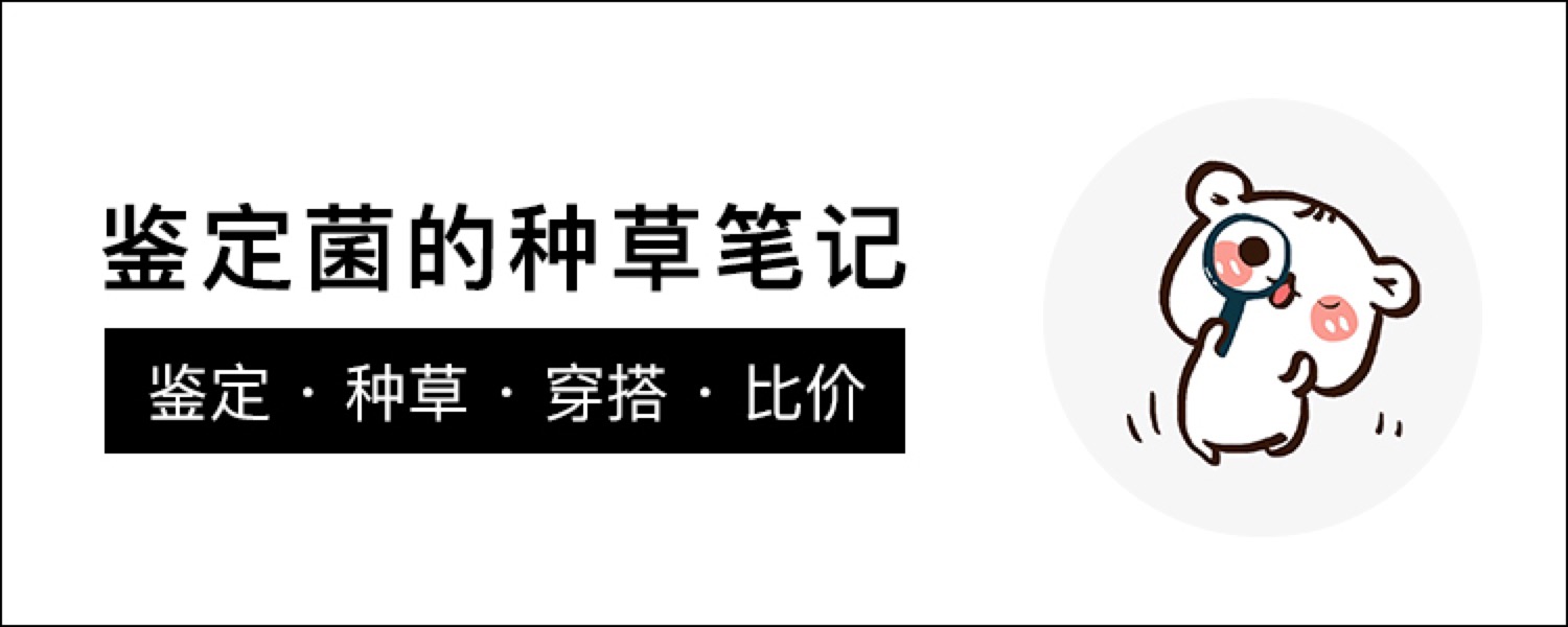 lv水桶包neonoe评测,lvnano水桶包鉴定真假