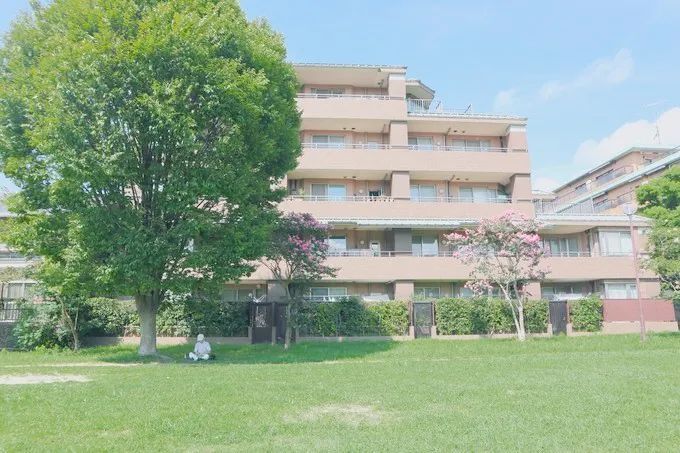 日本攻略你不会关注到的细节,日本攻略指南