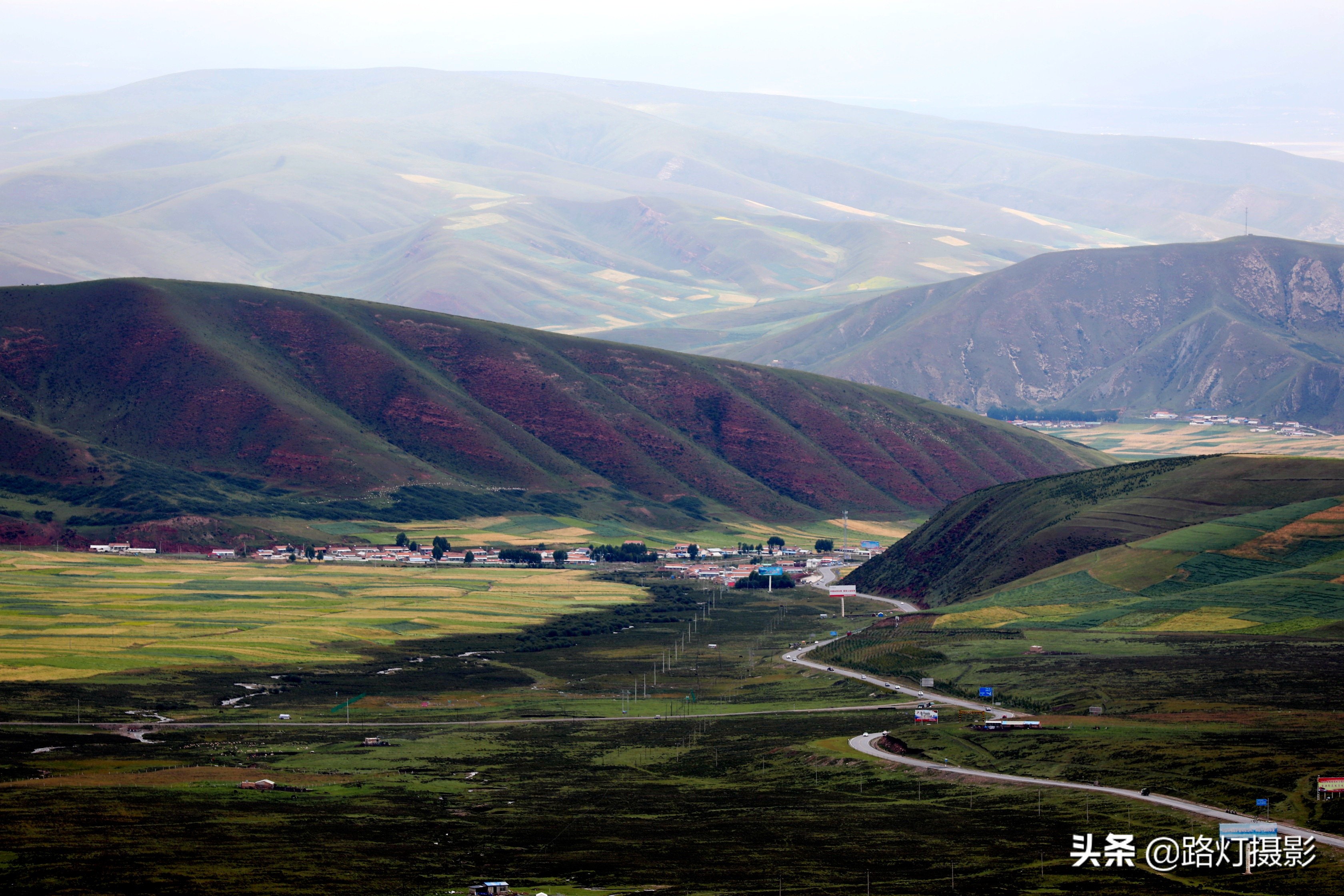 草原美丽的花海风景视频,青海花海旅游景区