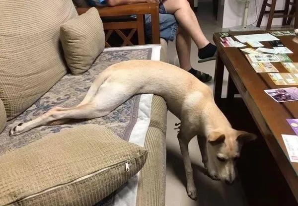 汪见镜头秒伸“嫩白大长腿”摆拍，网友见私密巧思：很懂遮呀