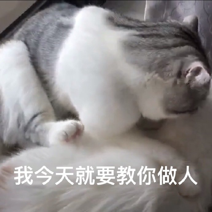 漂亮姐姐可以带我打游戏吗表情包,简单可爱的表情包仙女姐姐