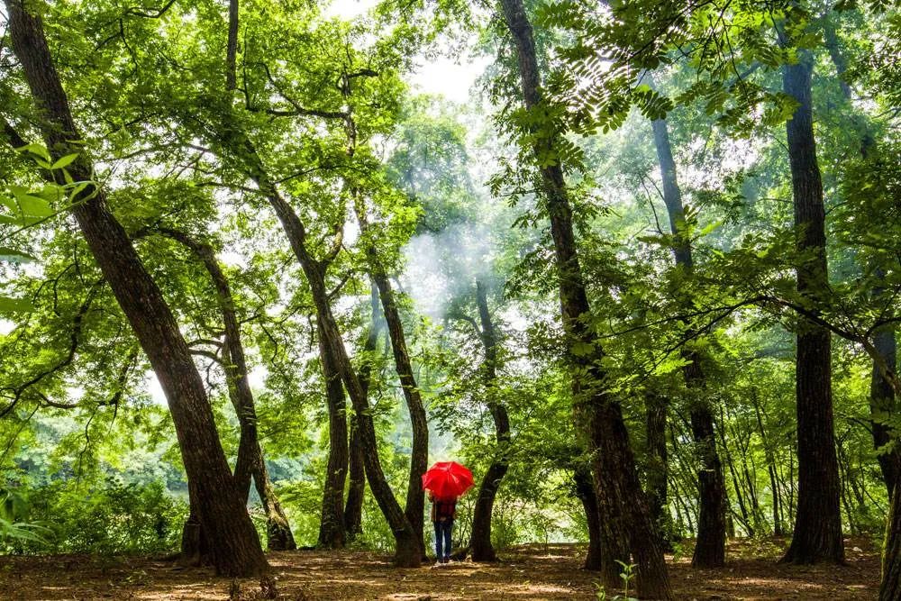 还没想好国庆去哪？自驾2.5小时，在秋日里泡温泉吃美食