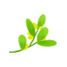 描写春天的成语和解释大全,关于春天的成语和句子有哪些