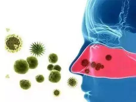 益生菌与免疫疾病,益生菌和流感病毒