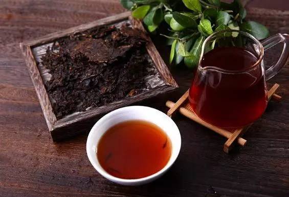 普洱茶中出现了茶虫该怎么办,普洱茶有茶虫是怎么回事