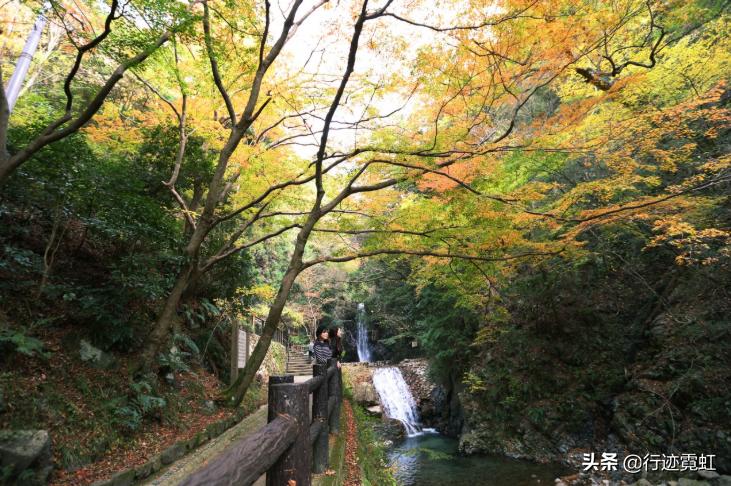 日本什么温泉对伤口有好处,日本什么类型的温泉对伤口有好处