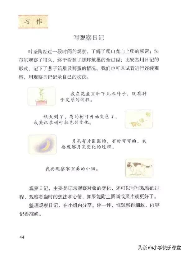 四年级语文第三单元视察日记作文,四年级视察日记400字优秀作文植物