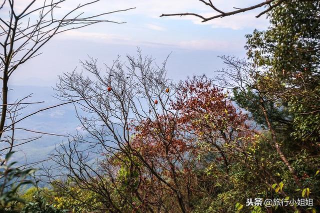天目湖加南山竹海哪里泡温泉好,天目湖度假秘境享受绝美自然山水