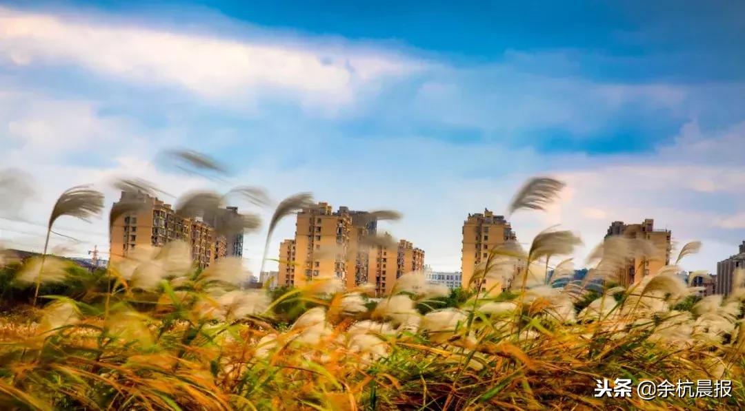 从惠仁家园这里到瓶窑有多远,杭州余杭瓶窑这里有学厨师的吗